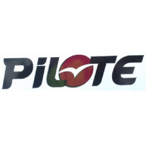 Logosticker "pilote" 2013