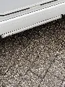 IMG_7287.webp