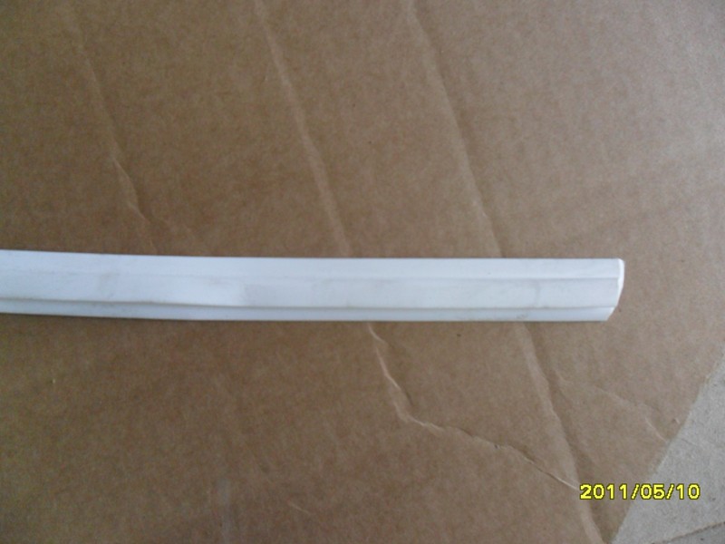 Bies tussen camper en skirts